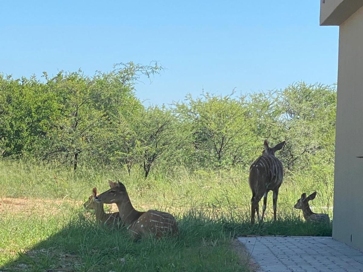 42@ Ditholo Game Lodge Thabazimbi Bagian luar foto